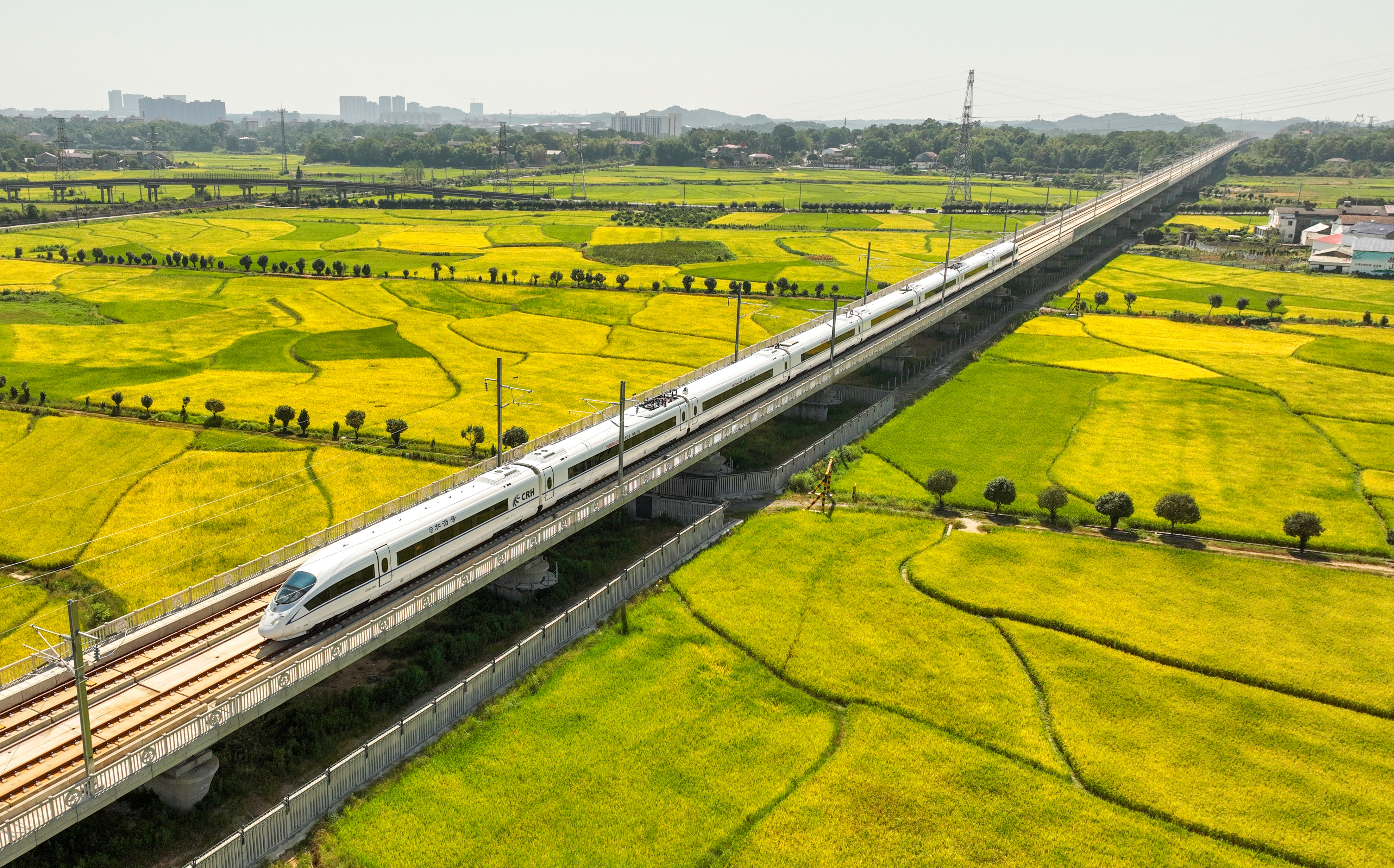 2022年9月4日，渝廈高鐵長沙到益陽段通車運(yùn)營。湖南日報全媒體記者 郭立亮 攝 (2).jpg